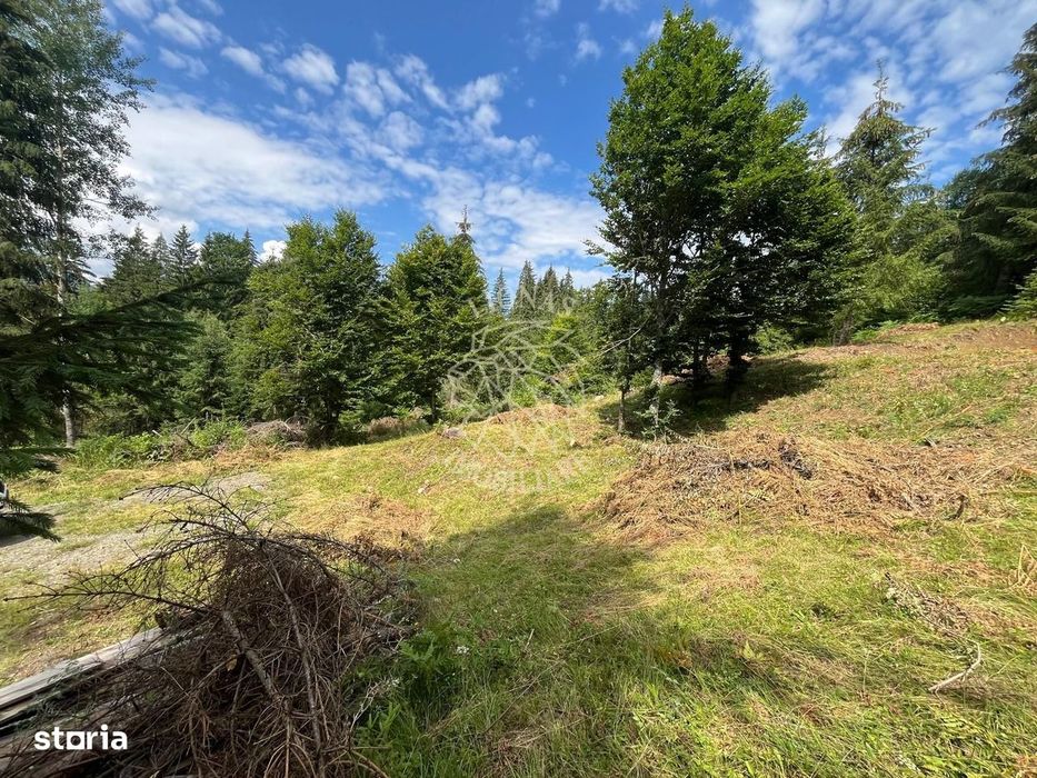 Teren intravilan 1074 mp cu utilitati-ideal pensiune, cabane-Colibita