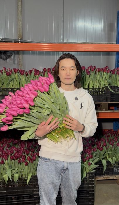 Тюльпаны Алматы. Тюльпаны из теплицы.
