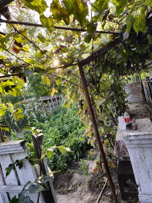 Casă de vânzare în Chilia Veche, Tulcea