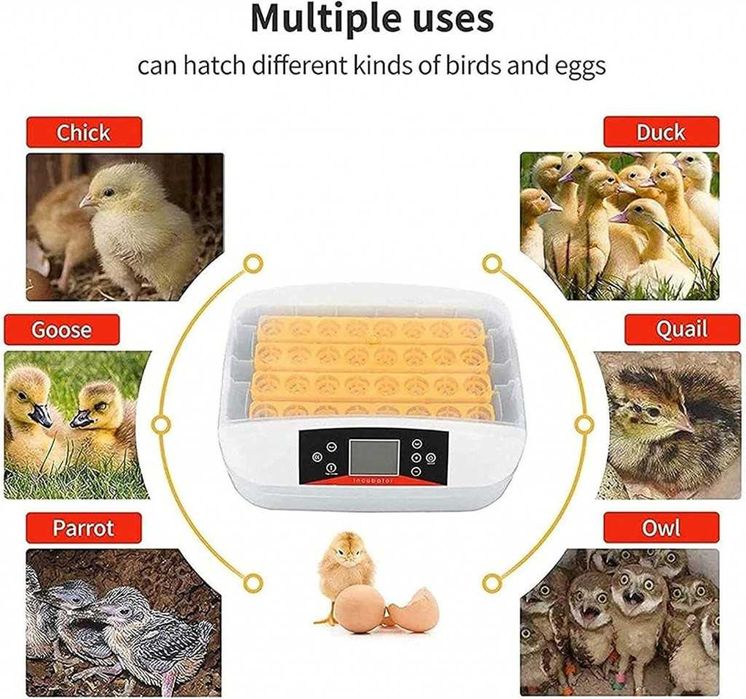 Инкубатор за яйца – 48 и 56 яйца с LED дисплей и автоматичен контрол