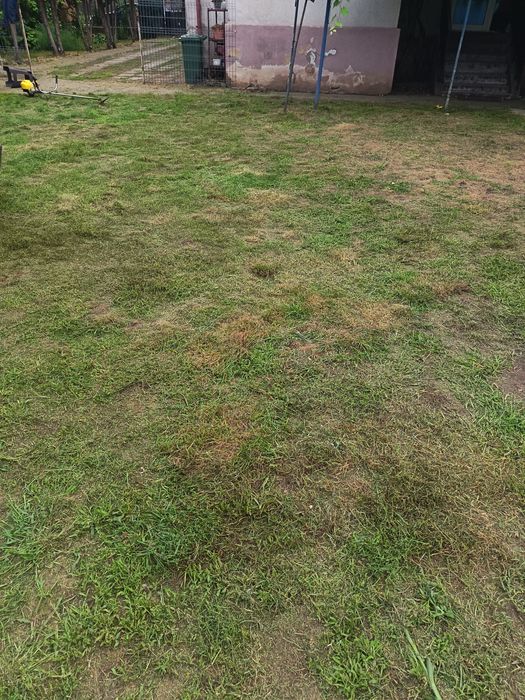 Ofer servicii: toaletat copaci,cosit iarba, curățat terenuri, gospodar