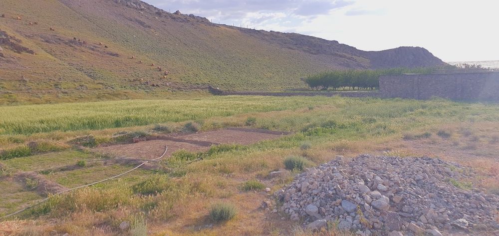 Bo‘sh yer maydoni SROSHNI sotiladi pul zarur