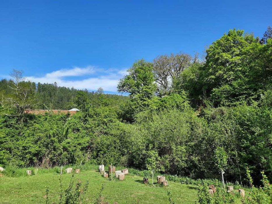 Къща под наем село Бусинци, Трън
