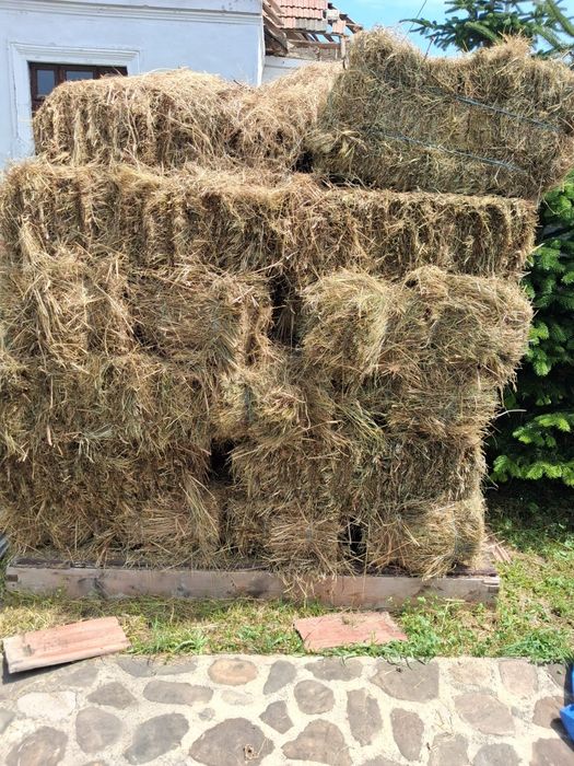 Baloți lucernă și fân