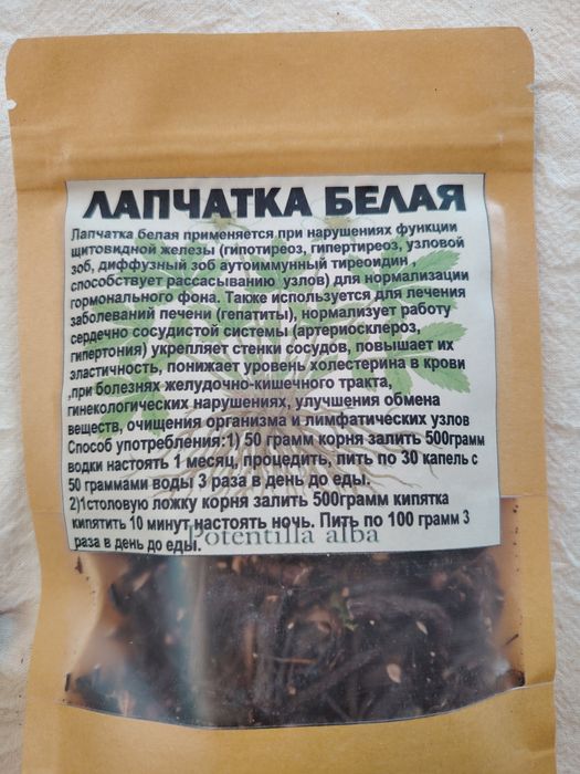Лапчатка белая корень