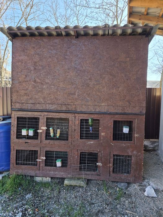 Vând cușcă animale