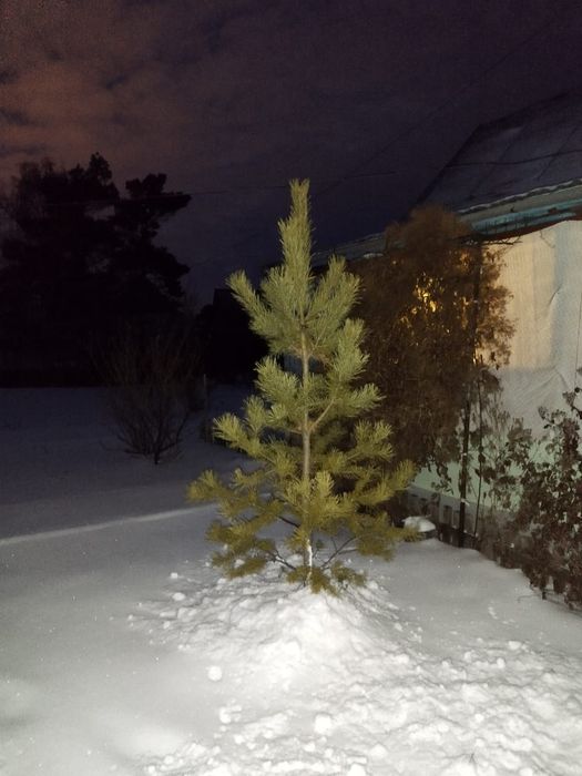 Продам дачу ДСО Эврика
