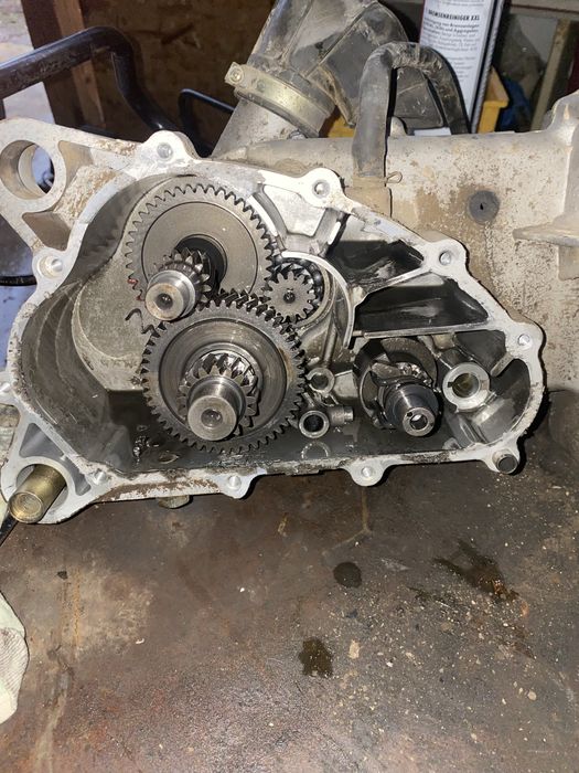 Service moto & garden