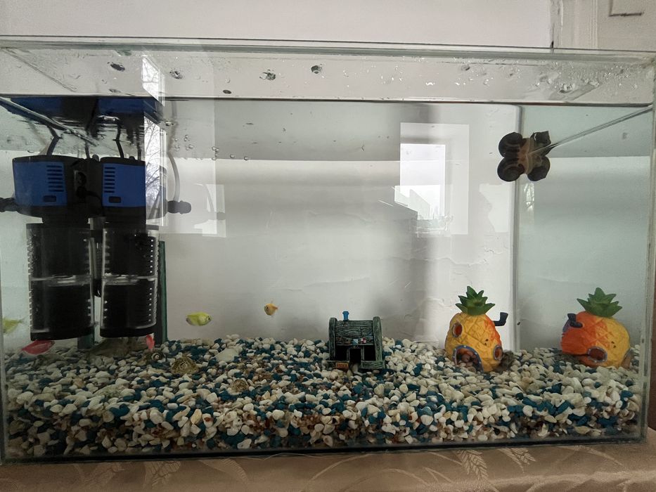 Продам аквариум с рыбками