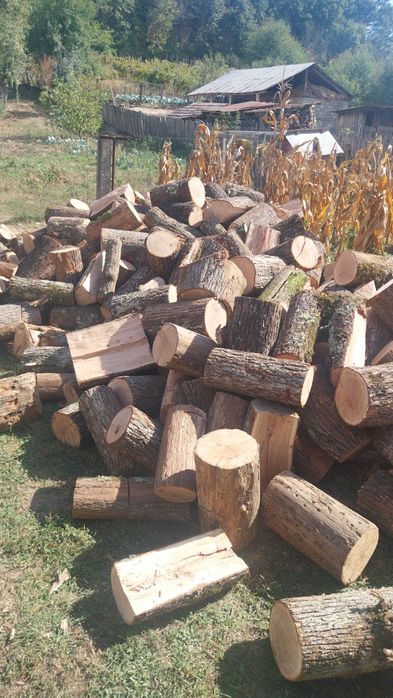 Fag și stejar de vanzare