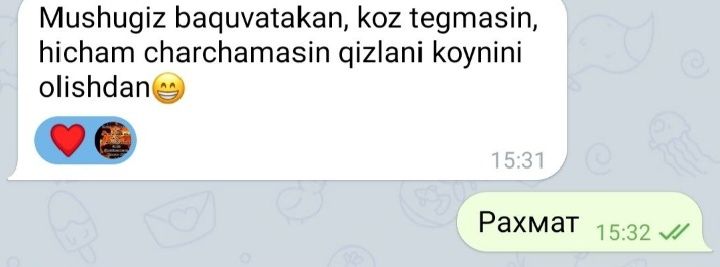 Вязка! Британский кот!!