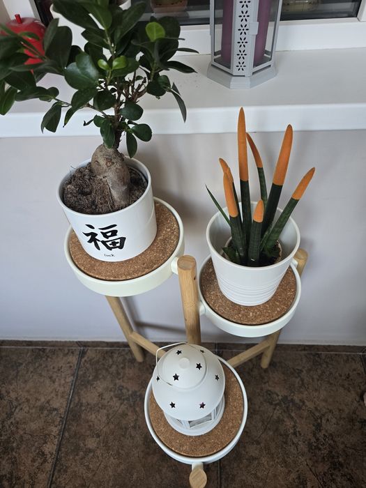 Vand suport pentru plante IKEA SATSUMAS, bambus/alb