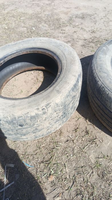 R14 летный донгалак