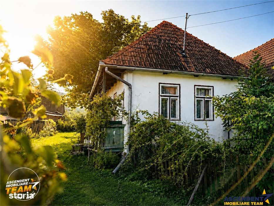 FILM! Proprietate traditionala,de poveste,cu 3.000 mp teren intravilan