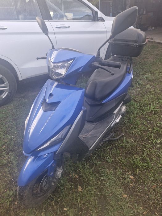 Продам радость лета