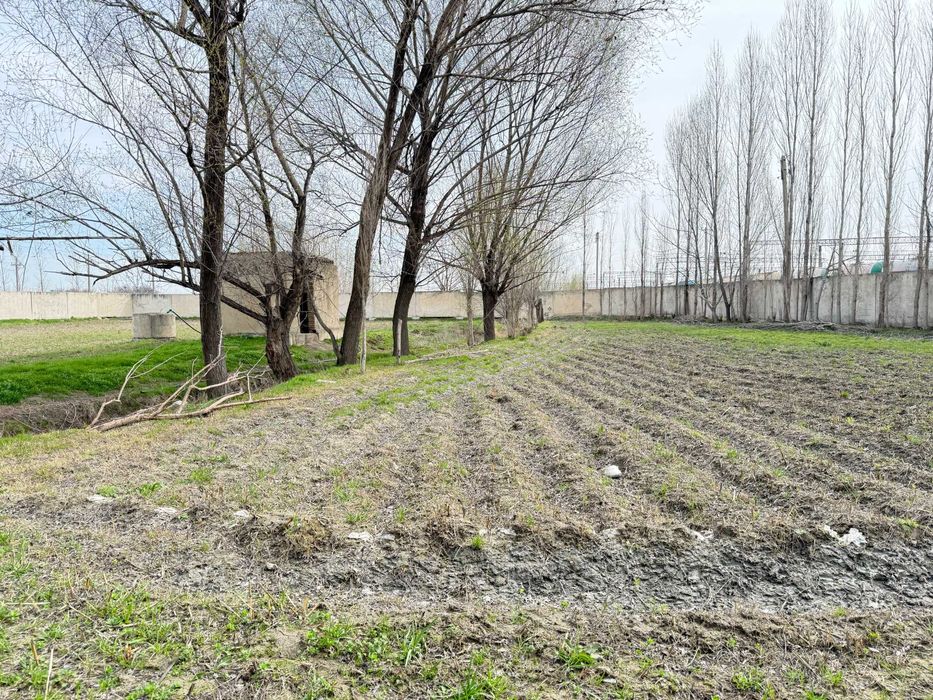 Yer oling — foyda qiling!