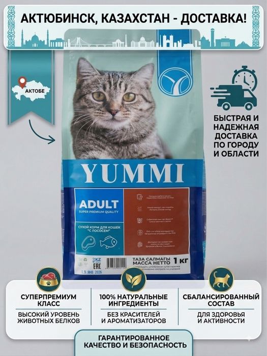 Yummi корм для кошек