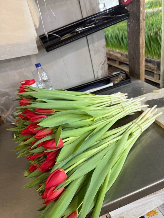 •Цветы •Гулдер оптом