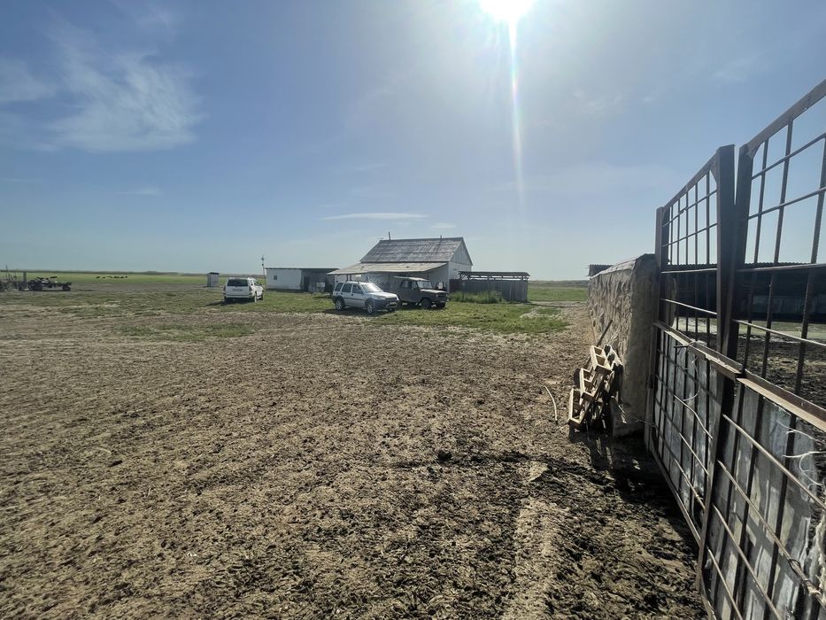 Продам Фазенду