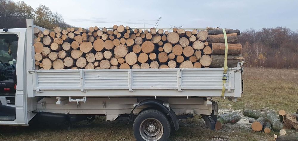 Vând lemne de foc la 320 de lei metru esență tare