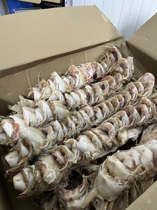 Ушки алакольские