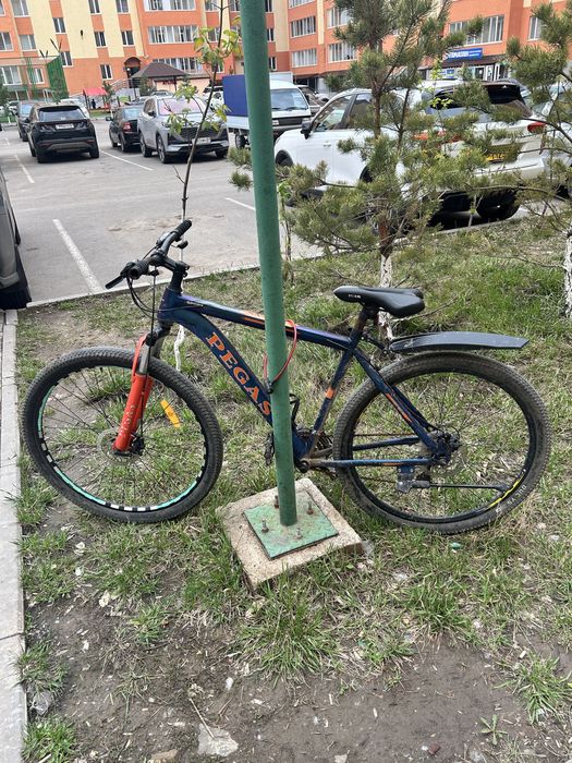 Велесипед бушный