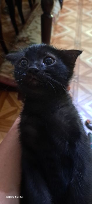 Мальчик 2 месяца