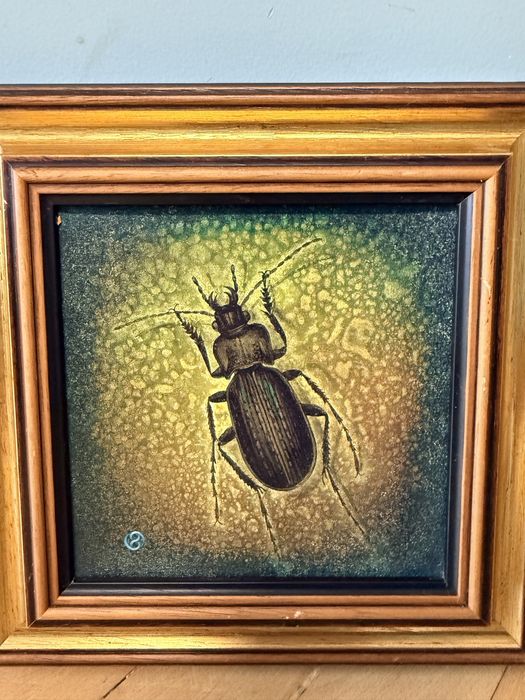 Картини с инсекти