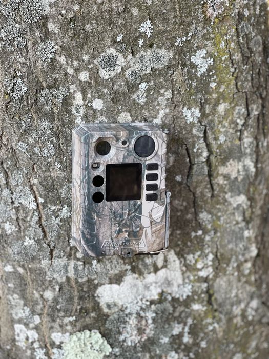 BG310 Forest Camera Vanatoare 18Mp