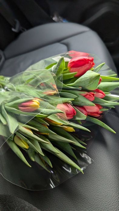 Тюльпаны оптом в Ташкенте