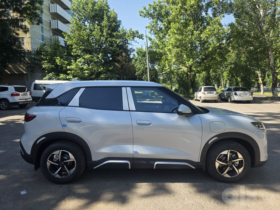 Byd yuan up 2025
