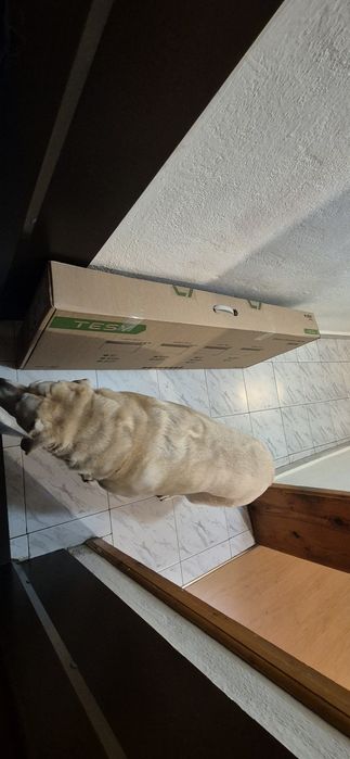 Конвектор Tesy CN 031 300 EI CLOUD W