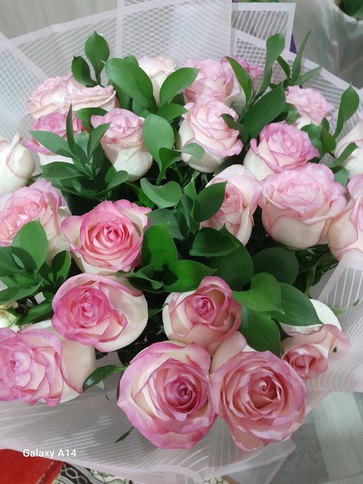 Свежи гүл 25000 т алынған