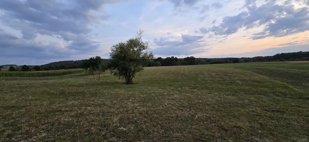 Teren de vânzare – Meziad, jud. Bihor – intravilan + extravilan | Zonă