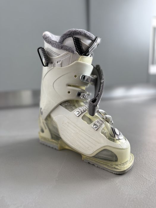 Clapari dama Salomon mar 38