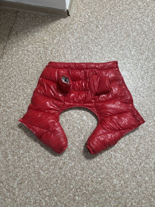 куртка зимняя для немецкого шпица