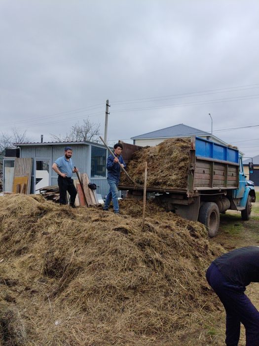 Зил с грузчиками 24/7