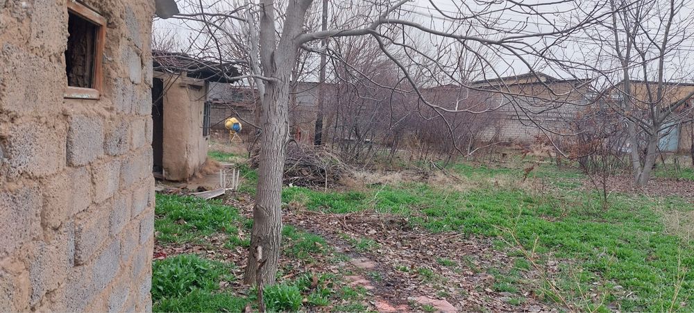 14 sotix Sag’bon dan yer sotiladi