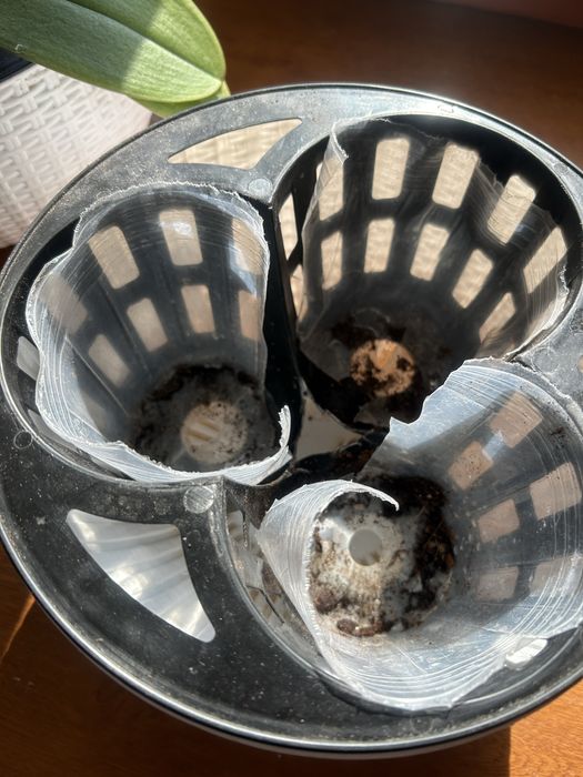 Продается горшок для орхидеи