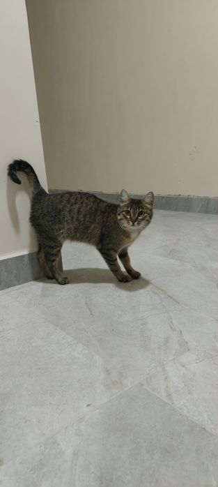 В добрые руки девочка