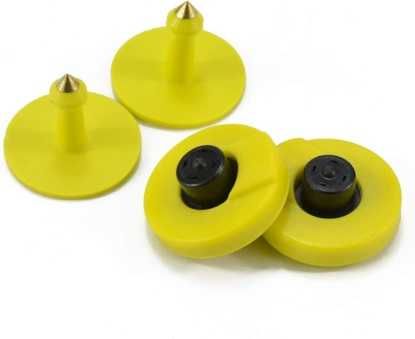 RFID ушные бирки для КРС,МРС