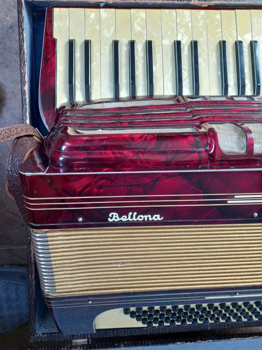 Акордеон Royal standard bellona