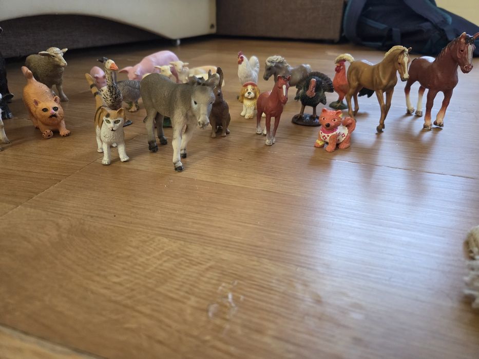 Colectie animale domestice si pasari