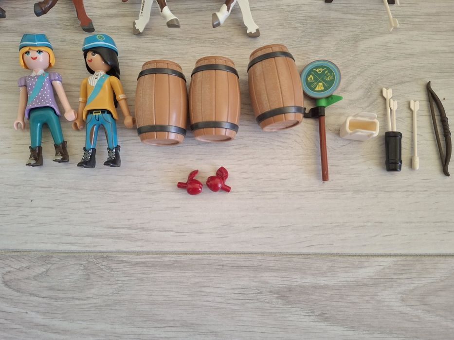 Set Playmobil Spirit 70331