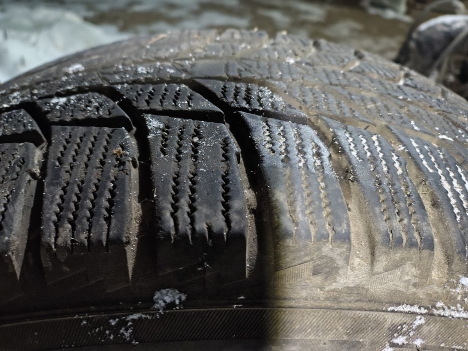 Шины зимние TRIANGLE