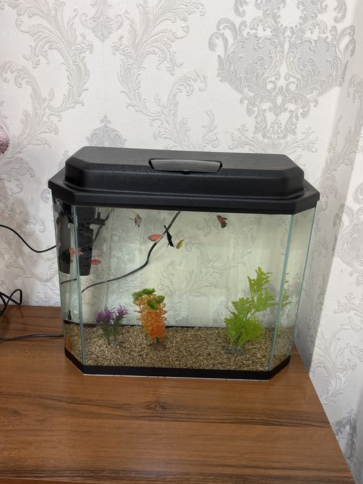Аквариум на 30л