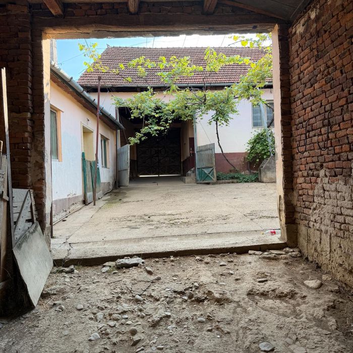 Casa cu gradina de vanzare