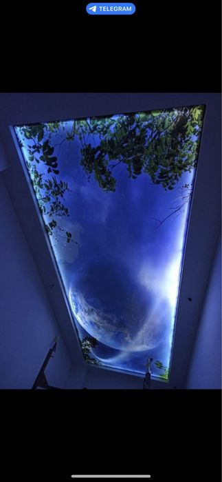 Натижной паталог