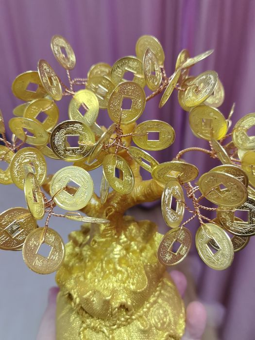 Продам денежное дерево