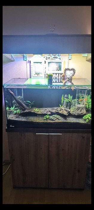 Acvariu Diversa 120 L +Stand+Pești